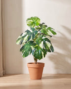 Artificial monstera bush with split leaves marbled in light and dark green, in a plain terracotta pot; pot not included