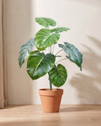 Artificial leaf bush with whole heart-shaped leaves in deep green, in a plain terracotta pot; pot not included