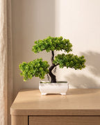 A small artificial green bonsai spreading in three flat tiers, in the white ceramic tray it comes in, on a pale oak table