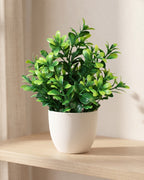 Boxwood style mini artificial potted plant in a plain white pot on a pale oak table