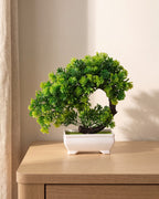 A small artificial green bonsai with a cascading trunk, the foliage falling below the rim, in the white ceramic tray it comes in, on a pale oak table