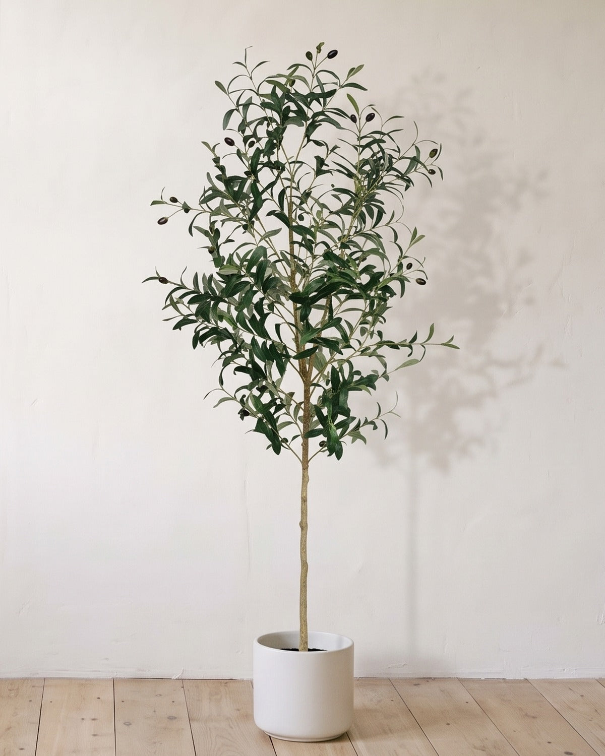 The 63 in artificial olive tree in a plain white pot, against a warm white wall; planter not included