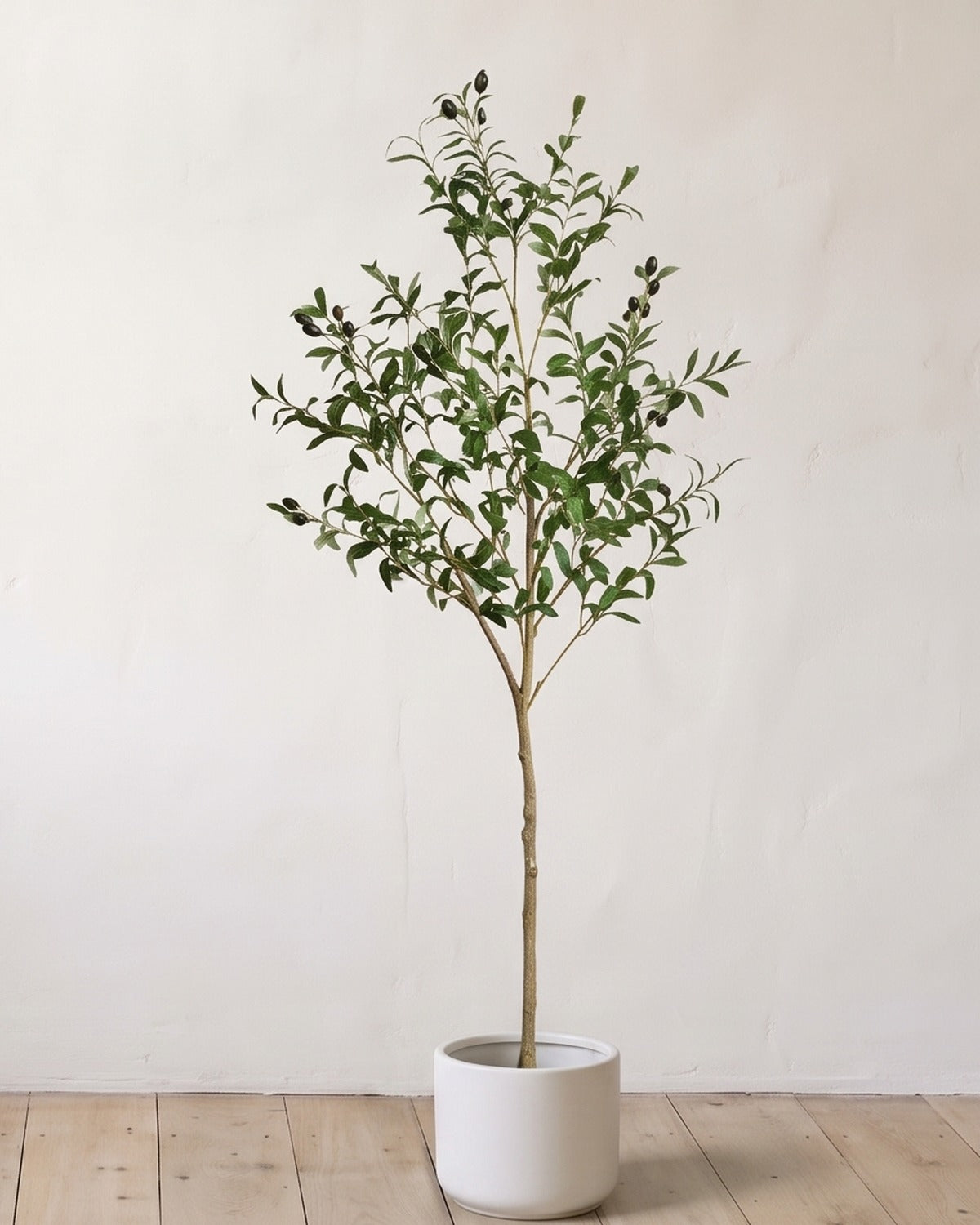 The 55 in artificial olive tree in a plain white pot, against a warm white wall; planter not included