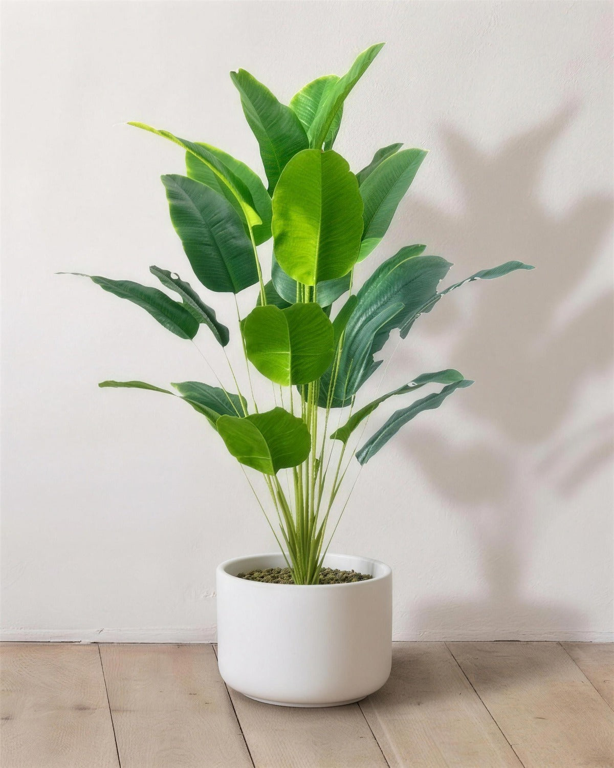 The 36 in artificial bird of paradise with twenty-four leaves, in a plain white pot against a warm white wall; pot not included