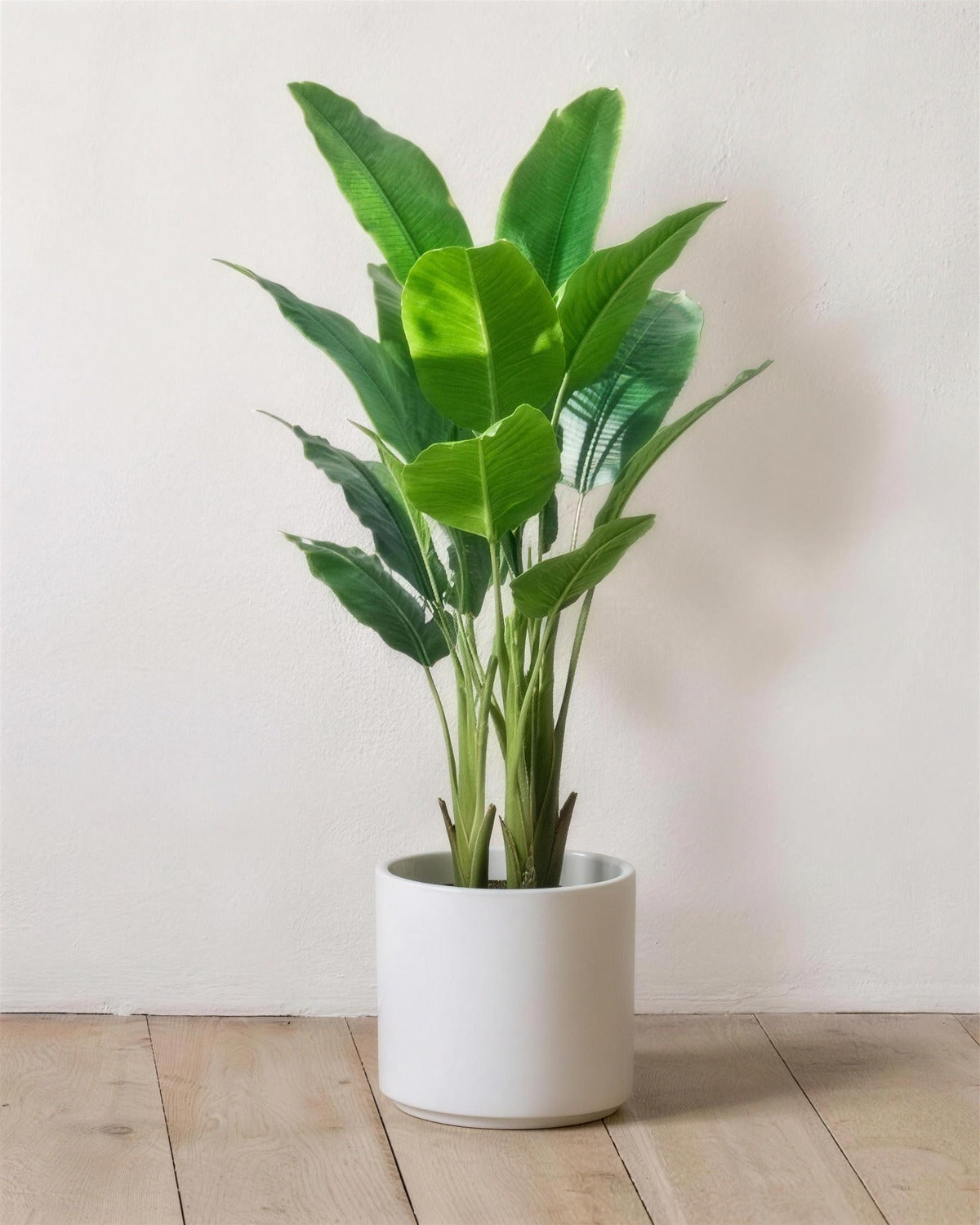 The 32 in artificial bird of paradise with eighteen leaves, in a plain white pot against a warm white wall; pot not included