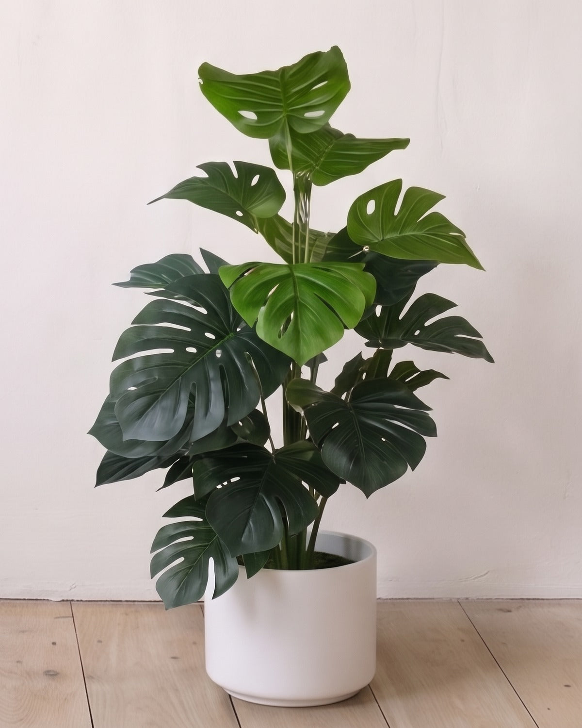 The artificial monstera plant in the 23.6 in and 29.5 in sizes, in a plain white pot against a warm white wall; pot not included