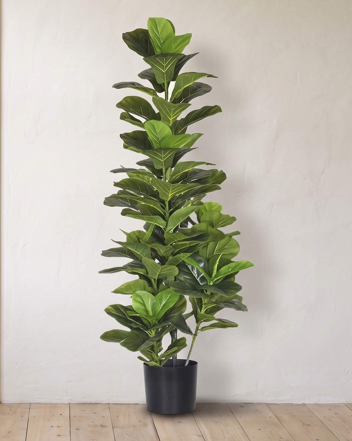 An artificial fiddle leaf fig tree in the 59.1 in and 66.9 in sizes, in its black nursery pot against a warm white wall