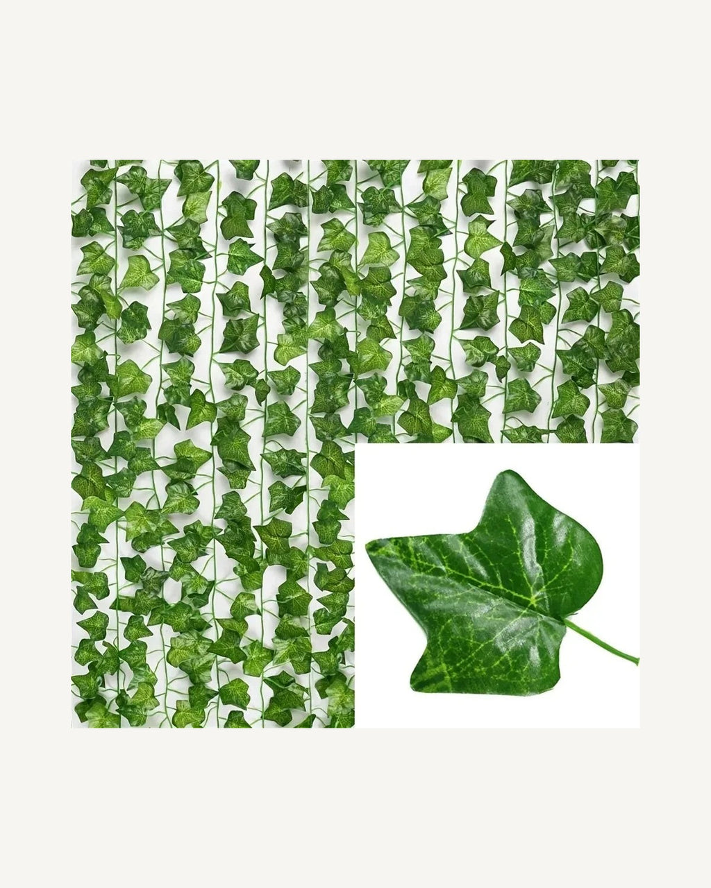 Classic lobed ivy leaf style, shown as hanging strands with a single leaf close up
