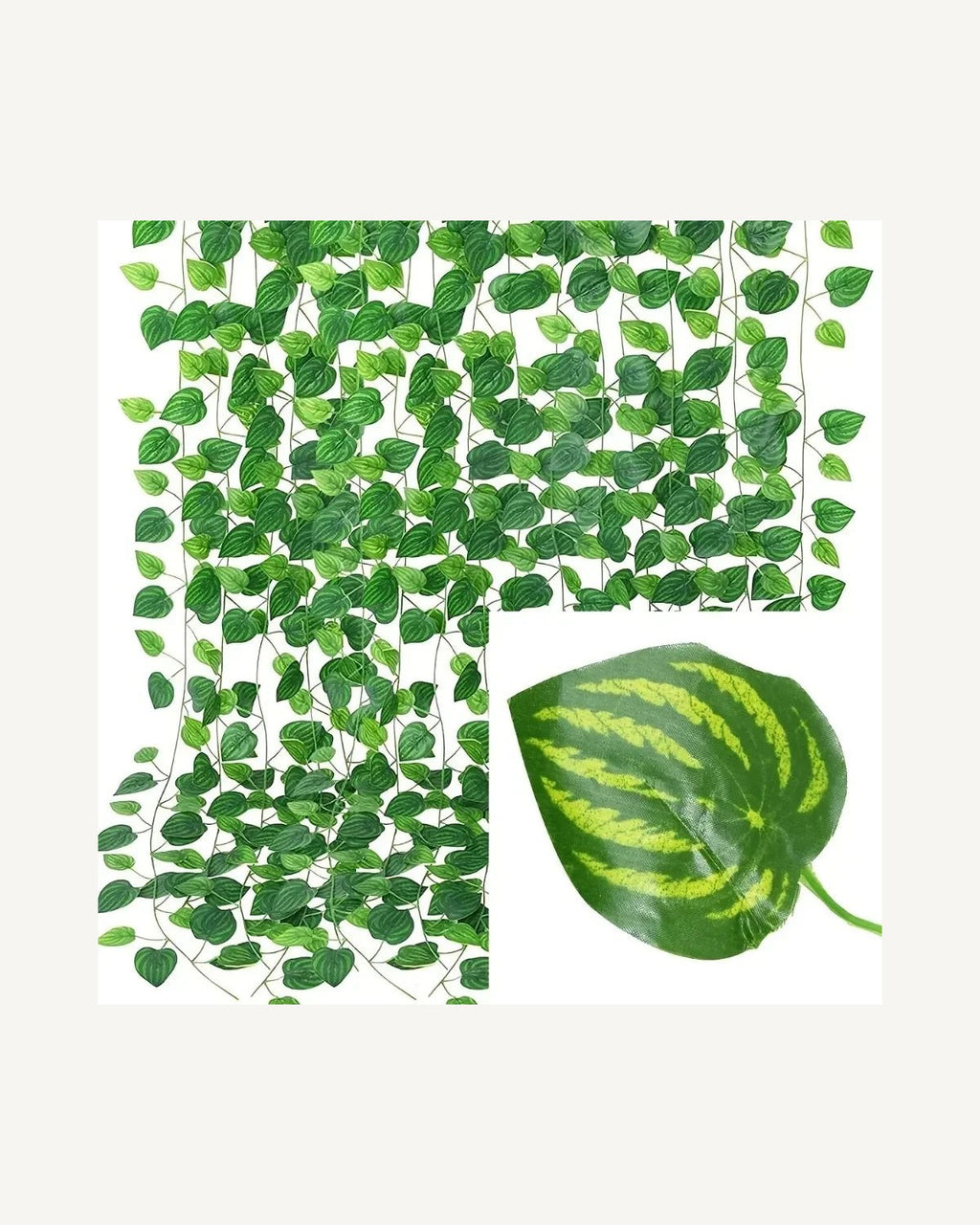 Marbled variegated leaf style, shown as hanging strands with a single leaf close up