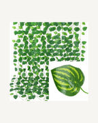Marbled variegated leaf style, shown as hanging strands with a single leaf close up