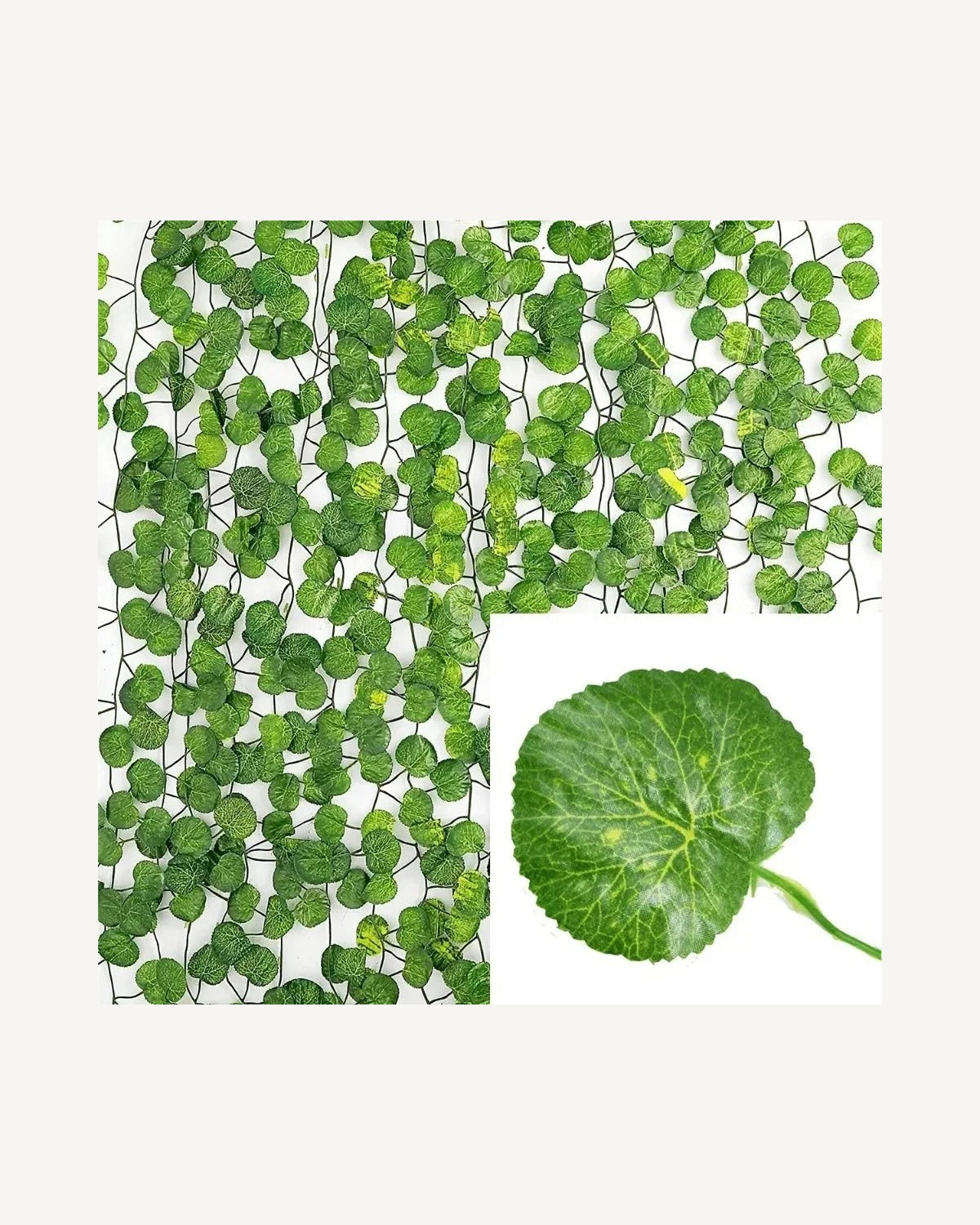 Rounded leaf style, shown as hanging strands with a single leaf close up