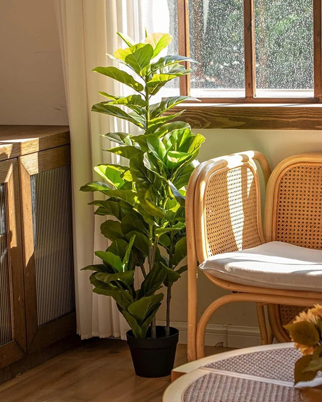 Artificial fiddle leaf fig tree in a black nursery pot on a wooden floor by a window