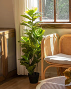 Artificial fiddle leaf fig tree in a black nursery pot on a wooden floor by a window
