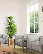 Artificial fiddle leaf fig tree in a wicker pot between two gray armchairs