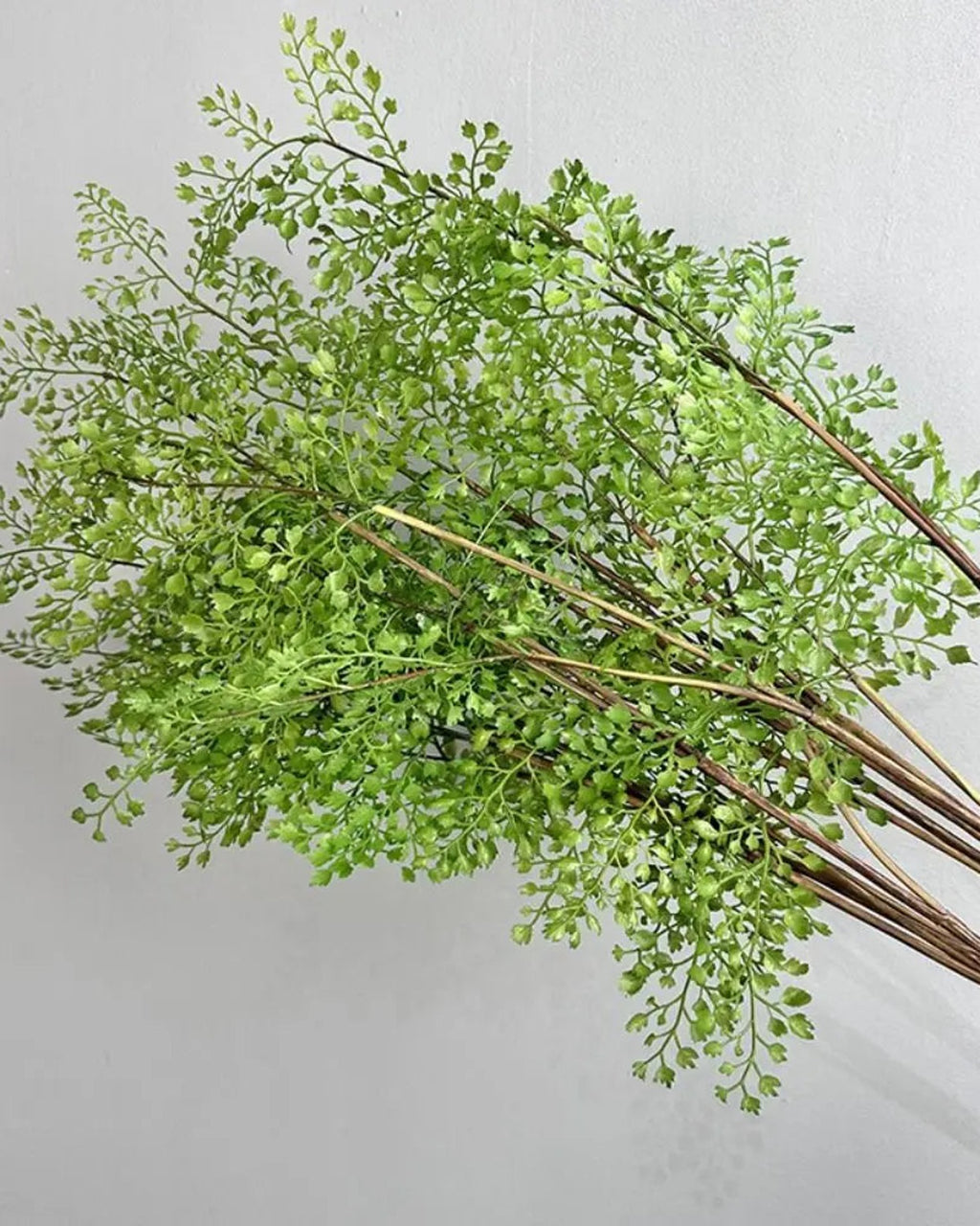 Artificial maidenhair fern branches laid on a gray backdrop
