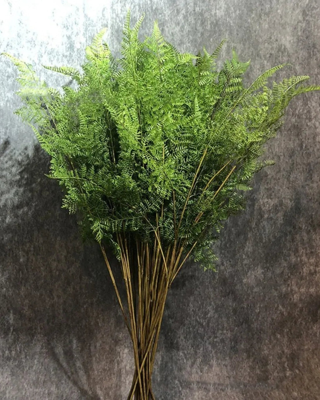 Artificial plumosa fern branches standing in a bunch