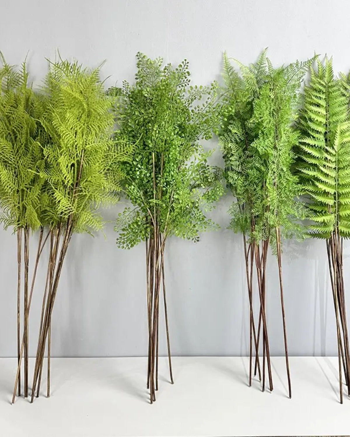 The four artificial fern styles standing side by side