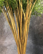 The long natural-colored stems of the artificial fern branches