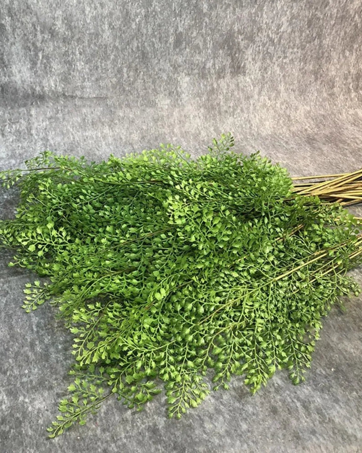 Artificial maidenhair fern branches, fronds in detail