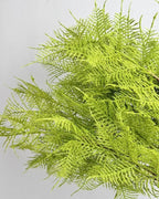 Artificial plumosa fern fronds in close view