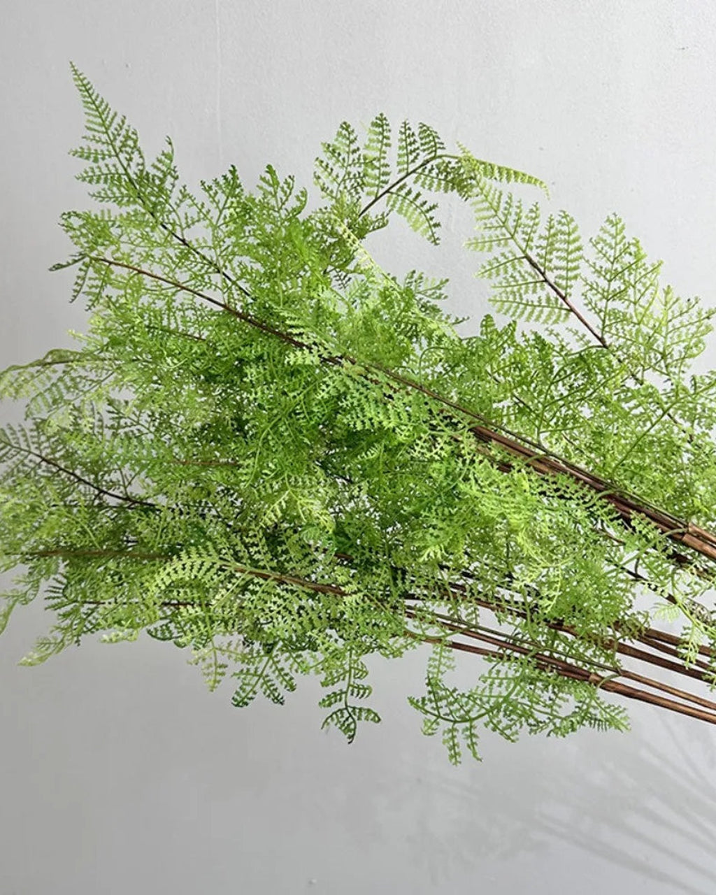 Asparagus fern style, artificial fern branch