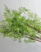 Asparagus fern style, artificial fern branch