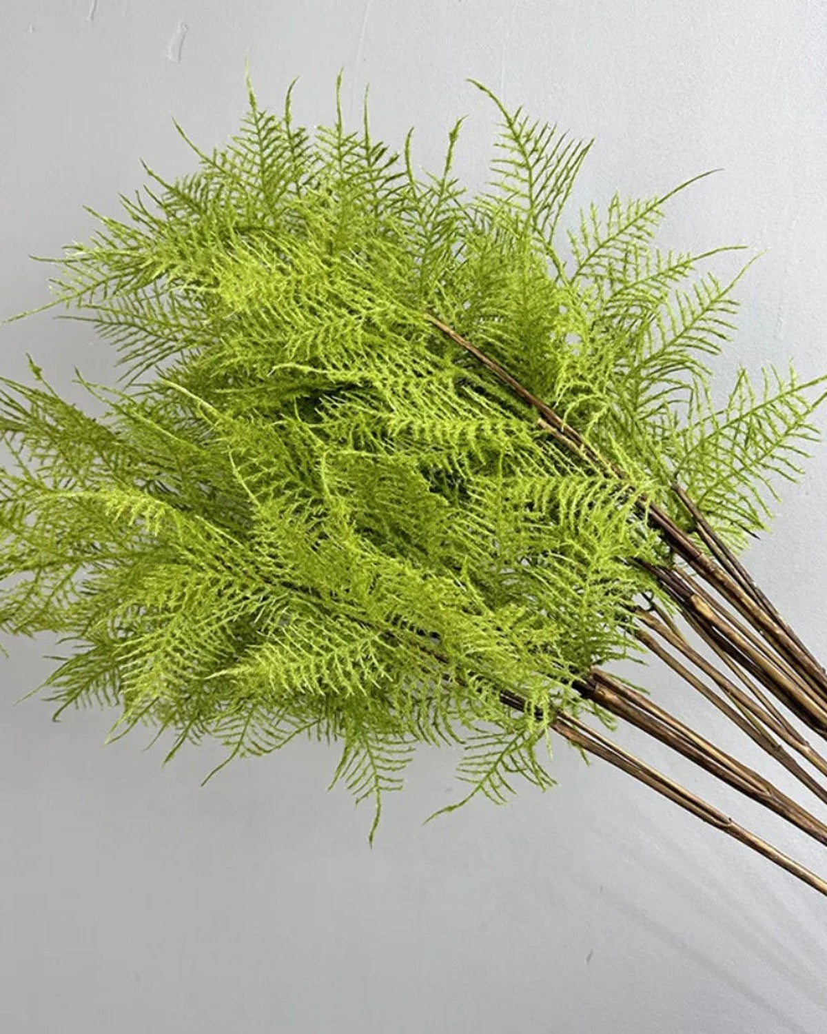 Plumosa fern style, artificial fern branch