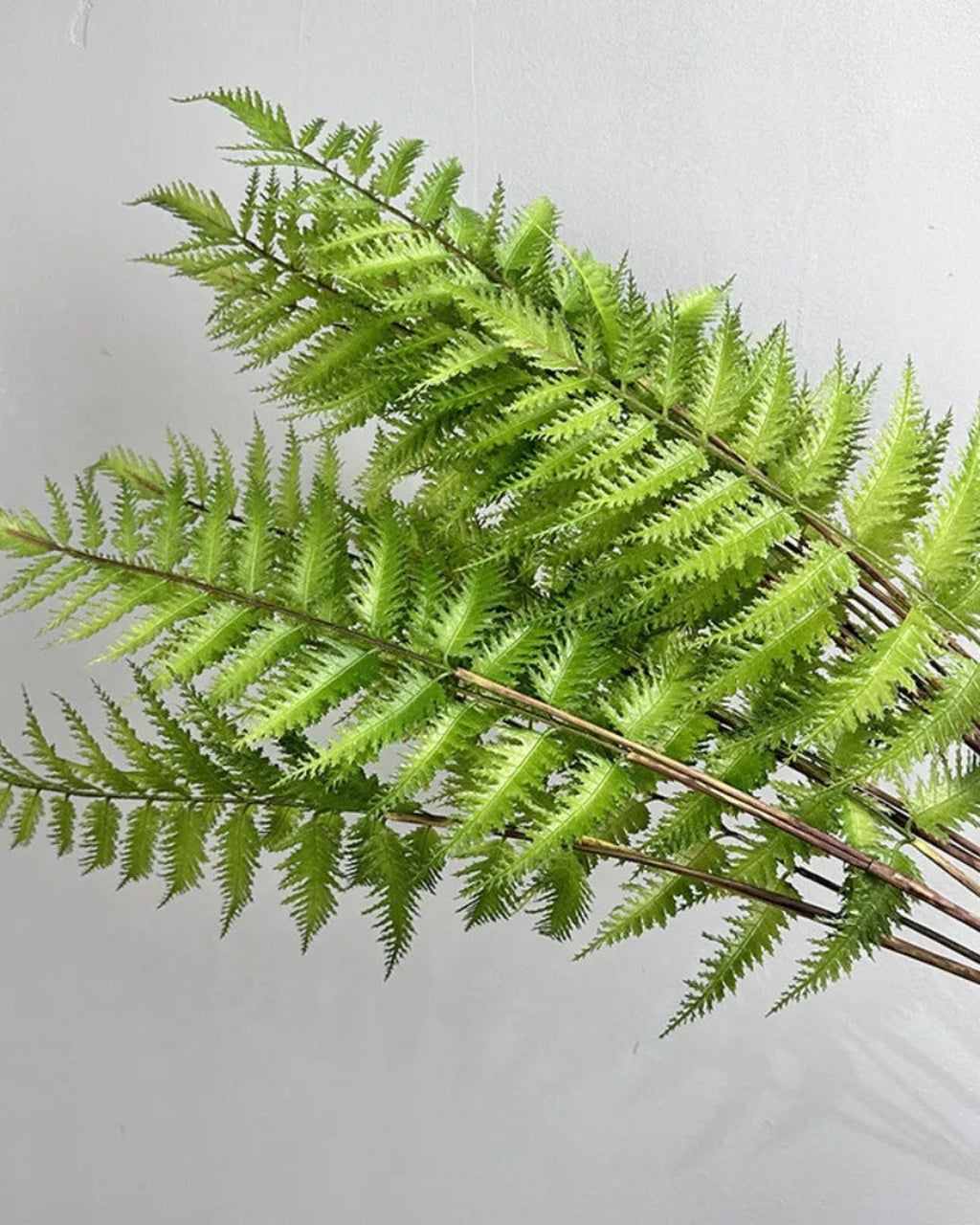 Boston fern style, artificial fern branch frond