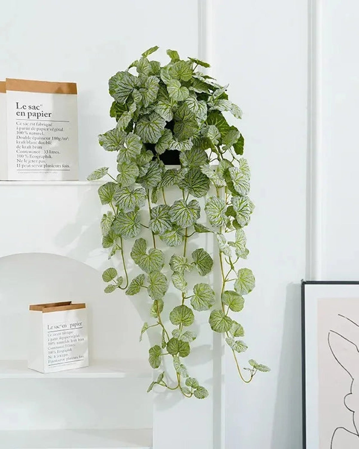 Artificial hanging begonia vine on a white shelf beside a framed print