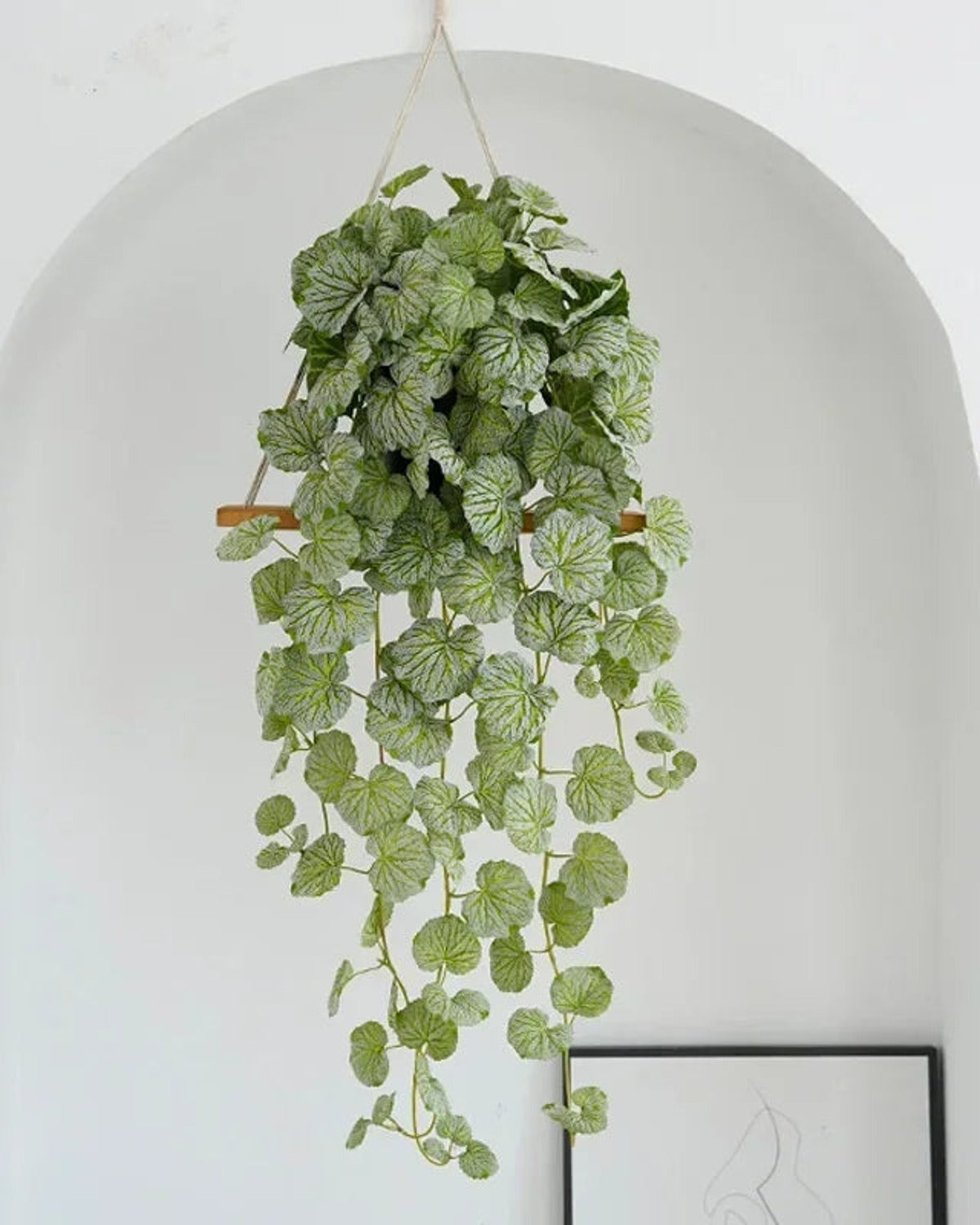 Artificial hanging begonia vine hanging in a white arched alcove