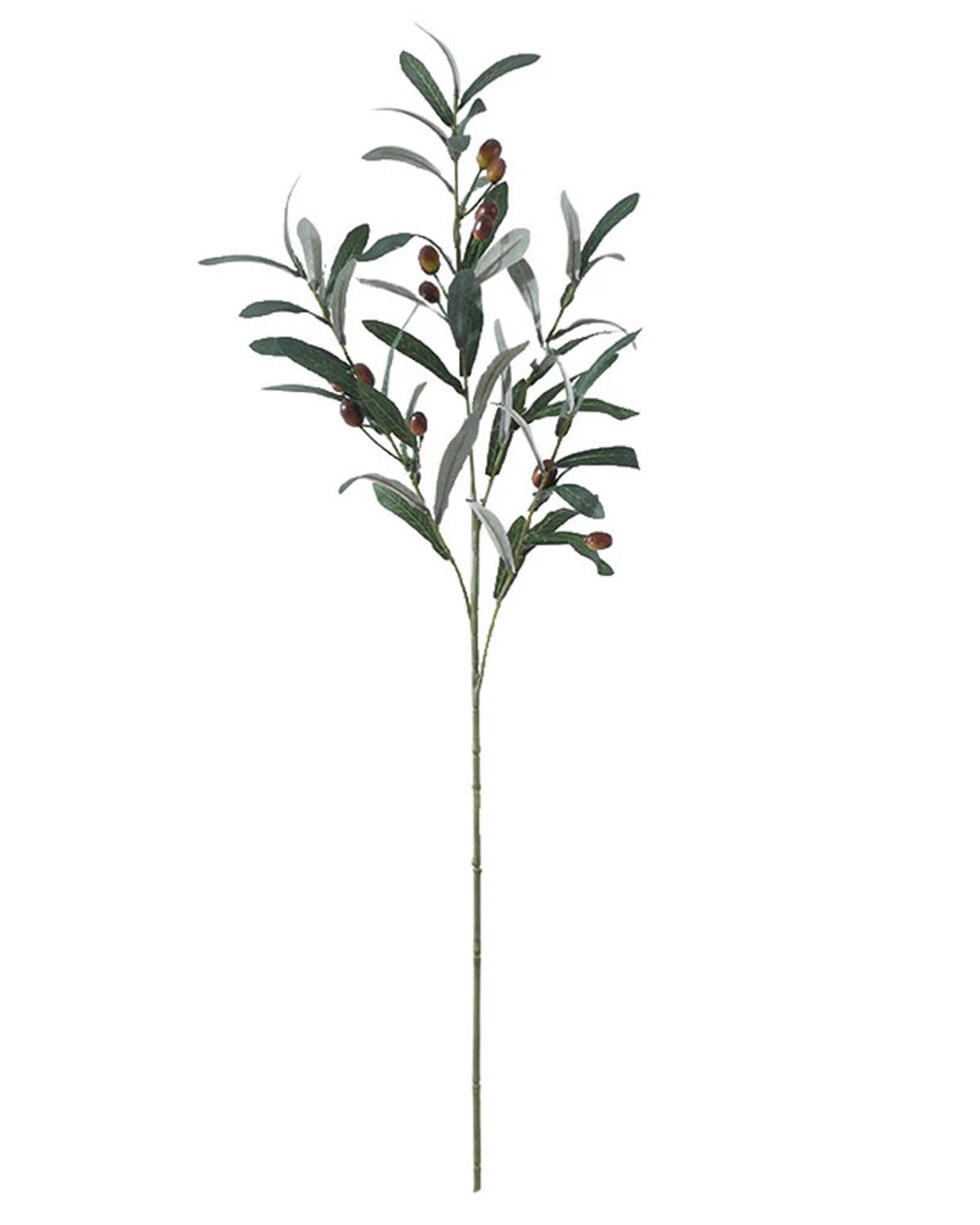 A single artificial olive branch with olives on a white background
