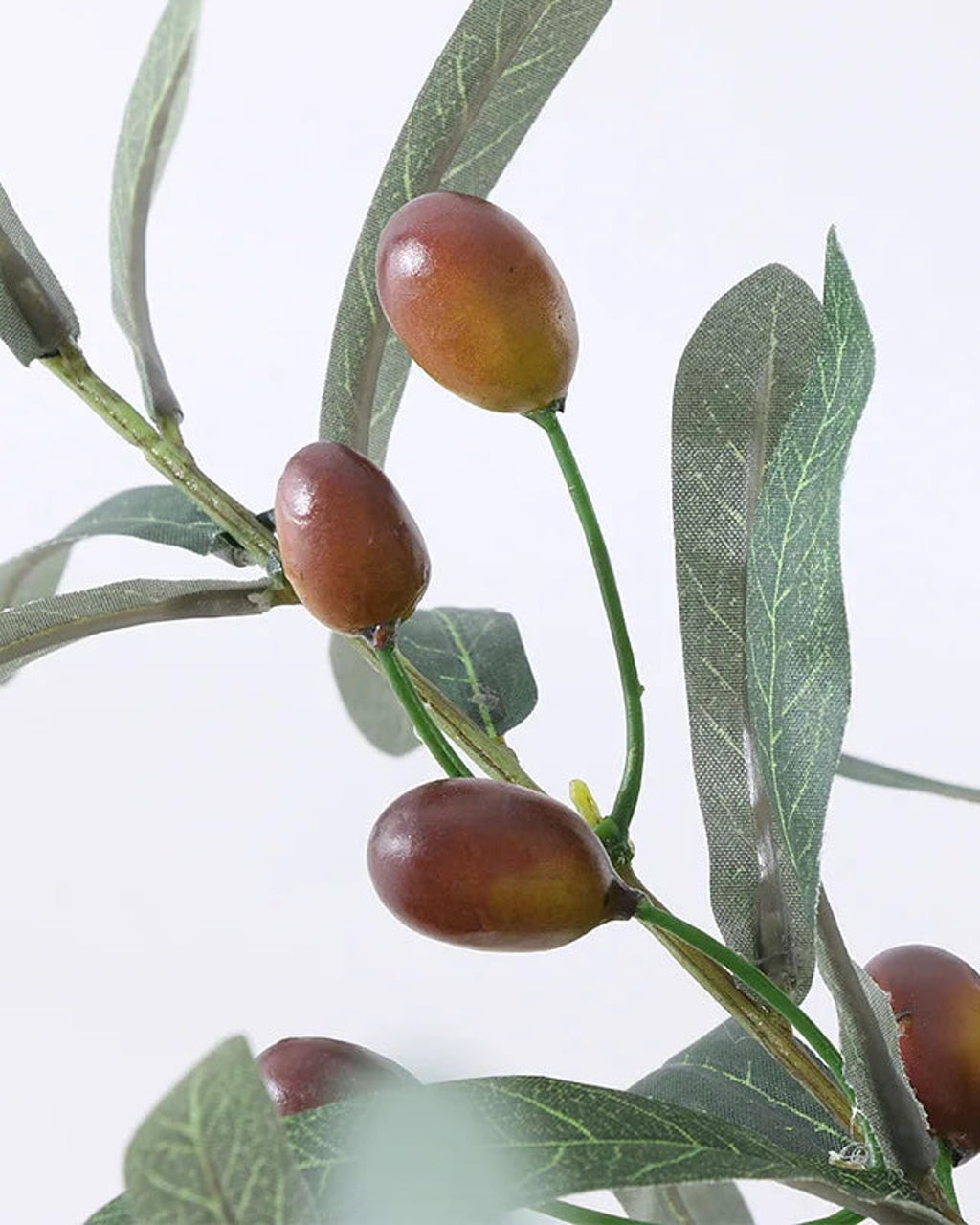 Close view of artificial olives on a stem with gray-green leaves