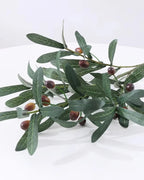 Artificial olive branch with dark olives laid on a white surface
