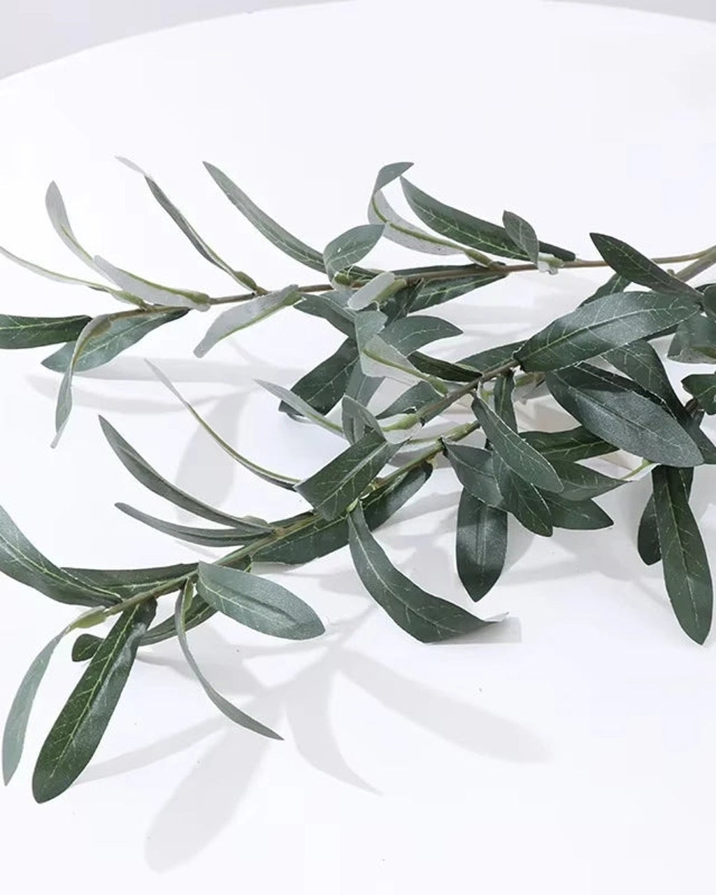 Artificial olive branch, leaves only with no olives, laid on a white surface
