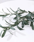 Artificial olive branch, leaves only with no olives, laid on a white surface