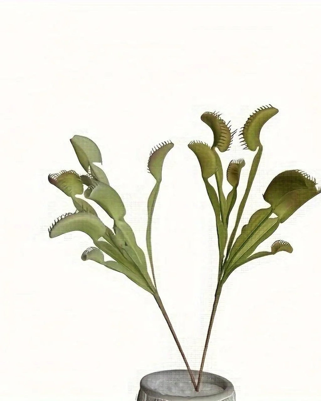An artificial Venus flytrap standing in a small pot, seen from the side; pot not included