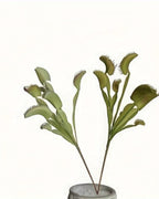 An artificial Venus flytrap standing in a small pot, seen from the side; pot not included