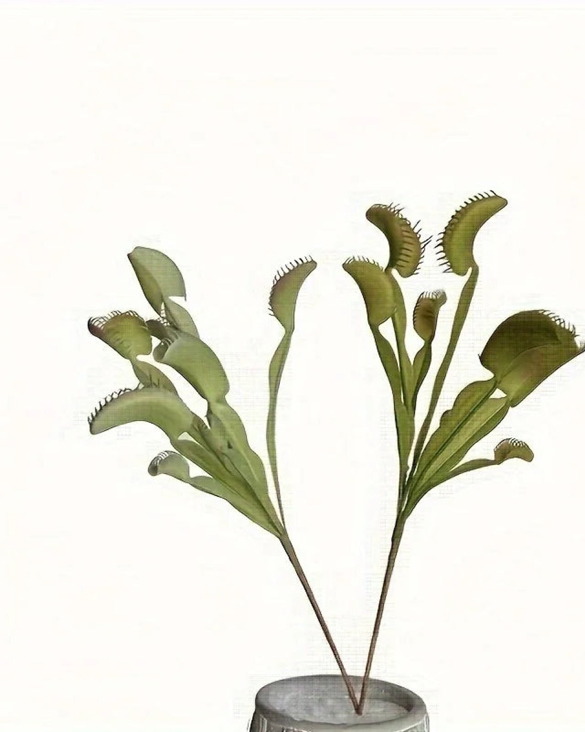 An artificial Venus flytrap standing in a small pot, seen from the side; pot not included