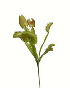 The traps of the artificial Venus flytrap in close view, showing the toothed fringe and the red inner flush