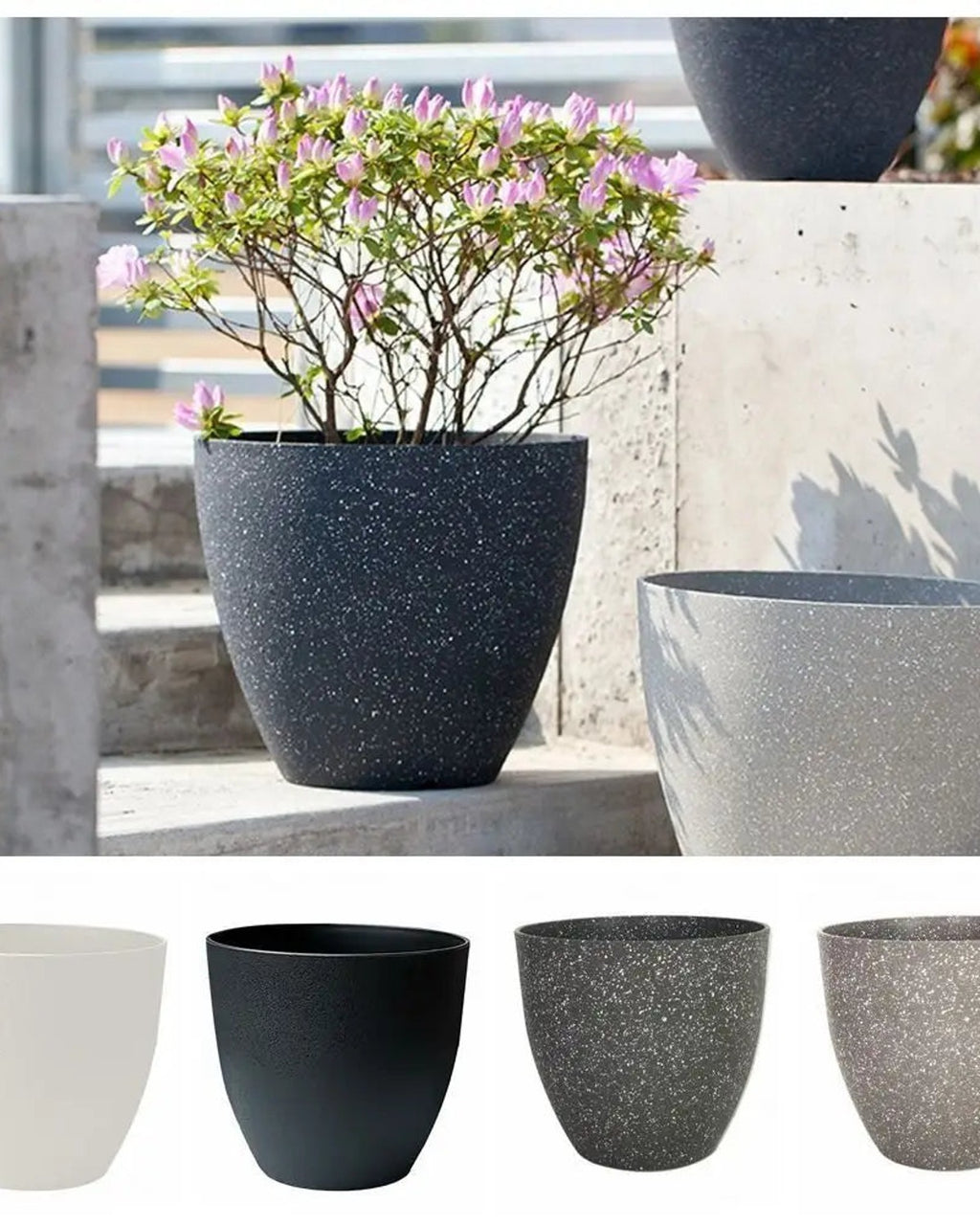 A stone effect plant pot planted with an azalea outdoors, with the four sizes shown below; plant not included