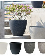 A stone effect plant pot planted with an azalea outdoors, with the four sizes shown below; plant not included