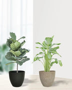 Two stone effect plant pots with small plants on a table; plants not included