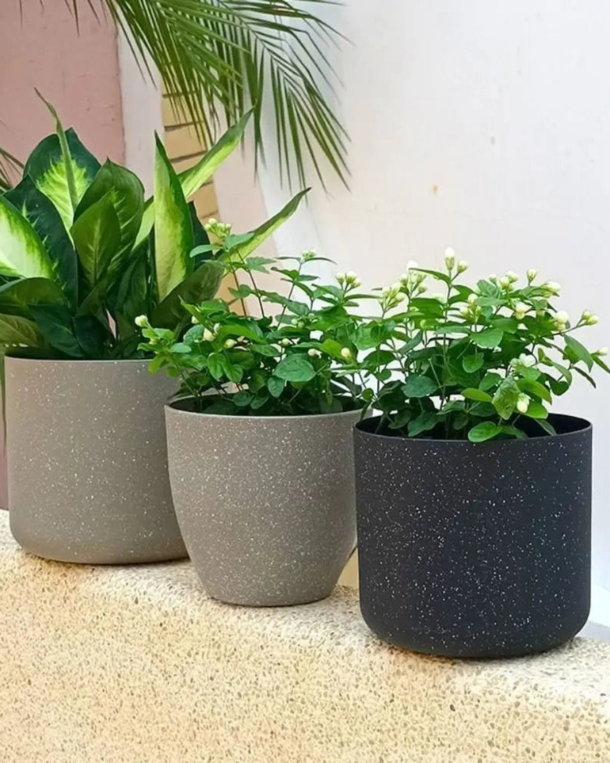 Three stone effect plant pots with plants on a sunlit ledge; plants not included