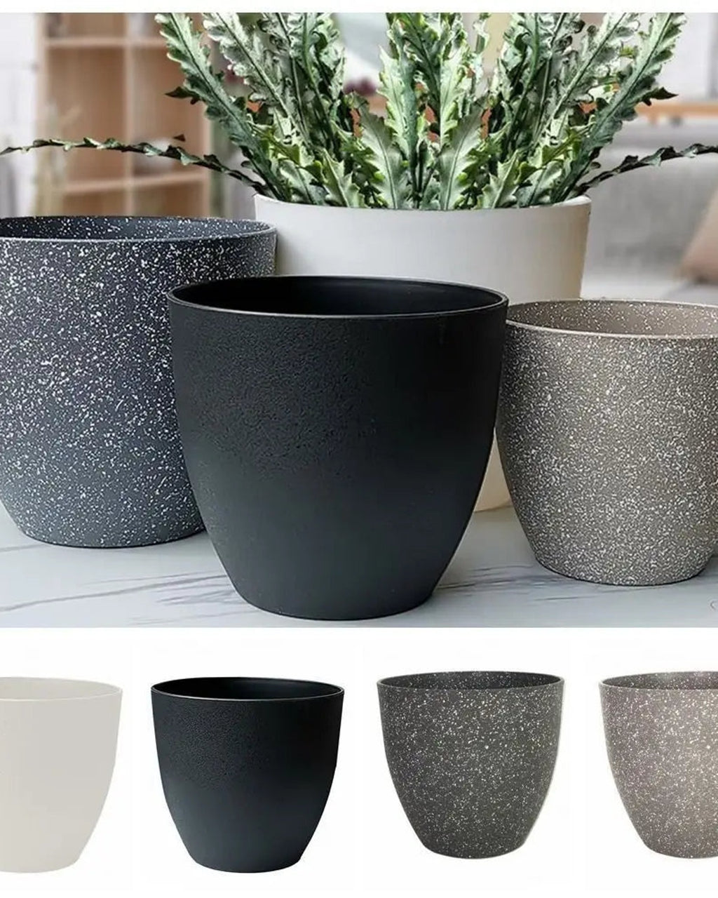 Three stone effect plant pots beside a plant, with the four sizes shown below; plants not included