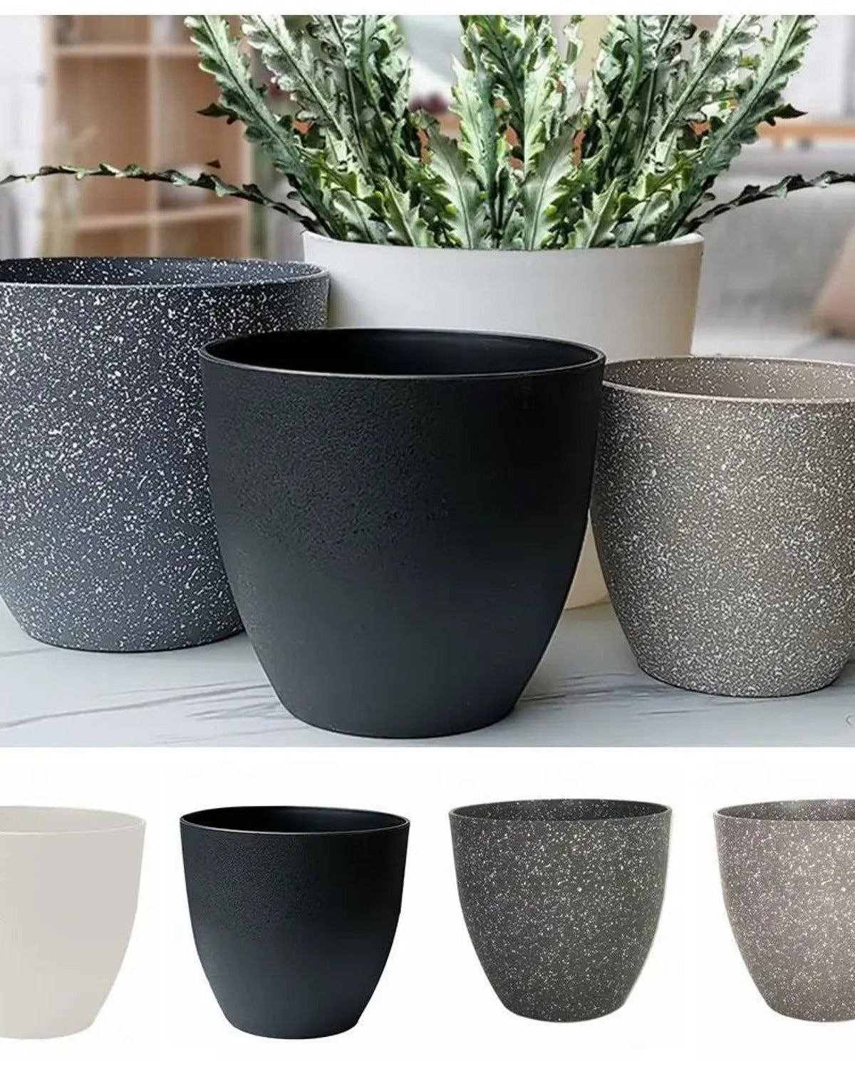 Three stone effect plant pots beside a plant, with the four sizes shown below; plants not included