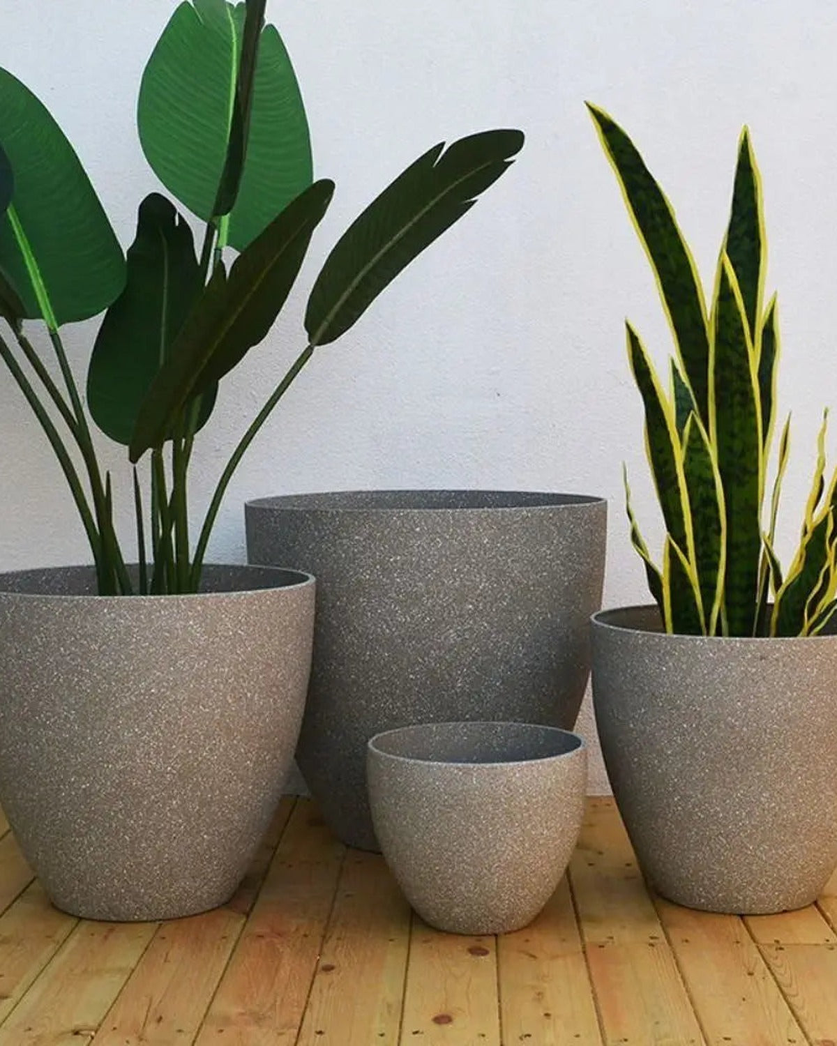 The four sizes of stone effect plant pot with plants in them, against a pale wall; plants not included