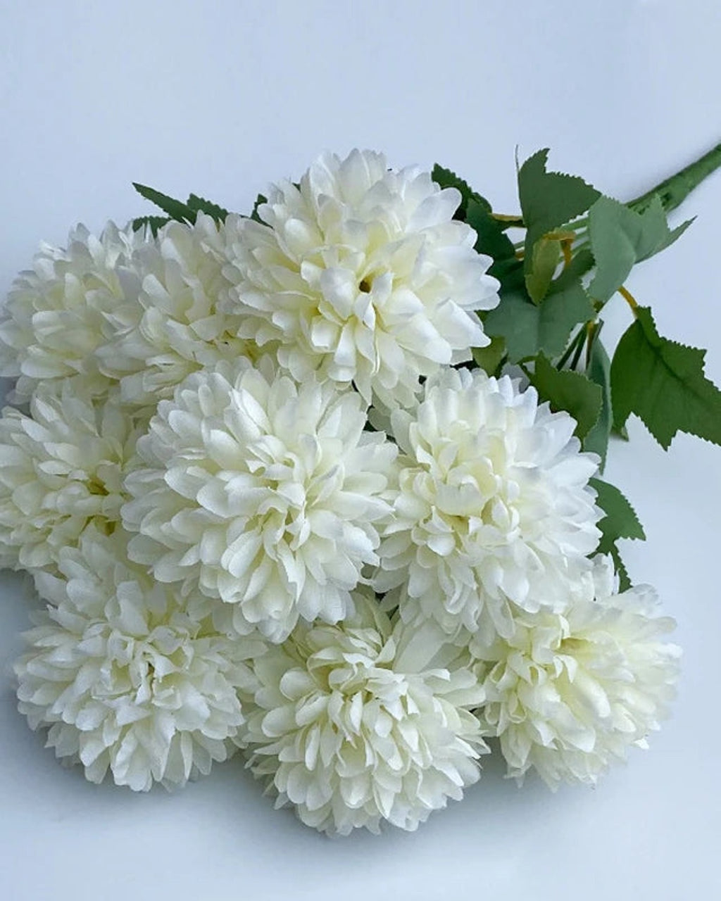 Cream white artificial pompom chrysanthemums, the ball shaped blooms in close view