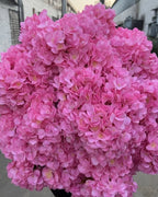 Pink artificial hydrangea flowers filling the frame, the small florets in close view