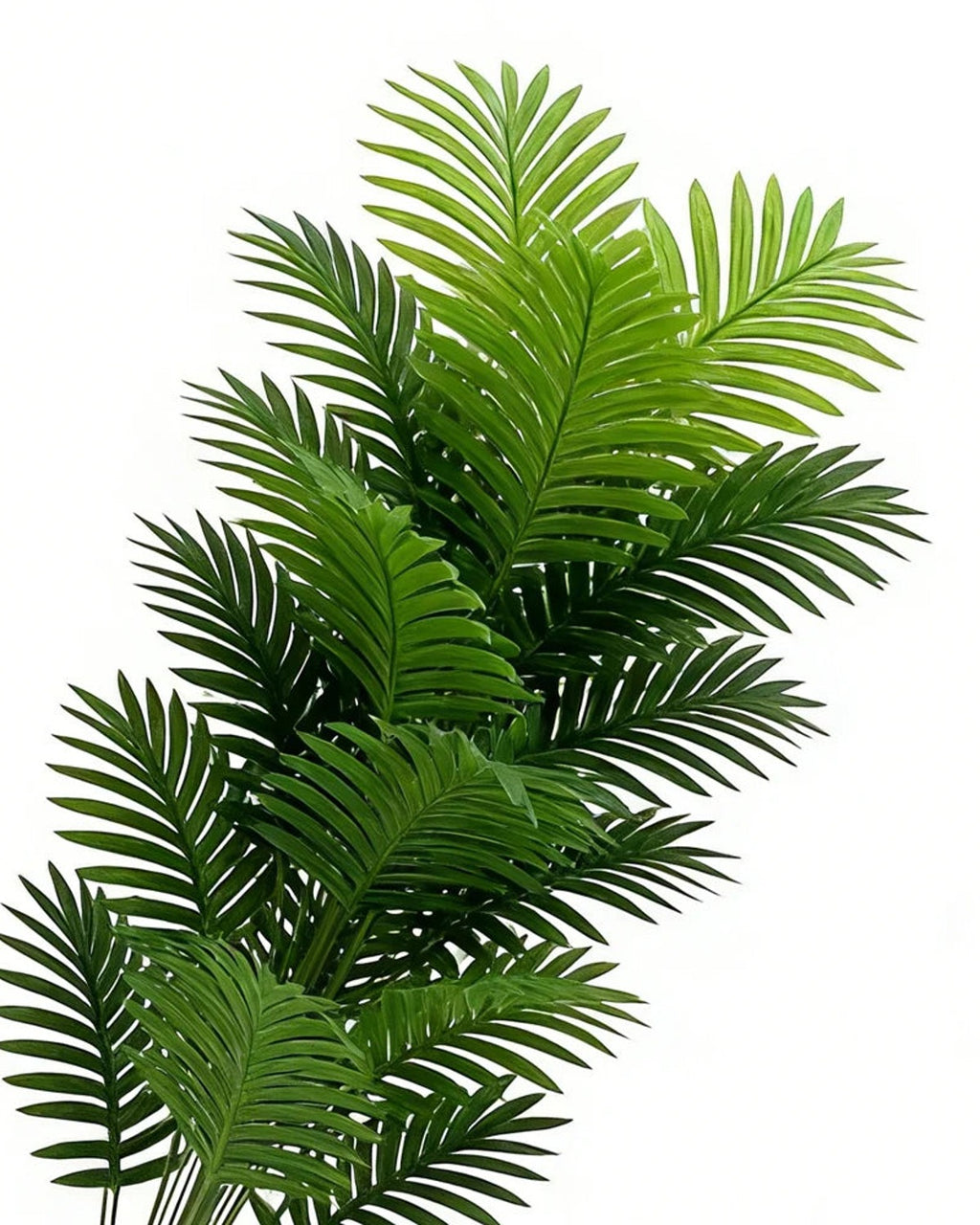 The fronds of the artificial palm leaf bush on a plain background, each cut into narrow finger-like segments
