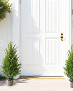 Two artificial pine trees in pots either side of a front door; pot not included
